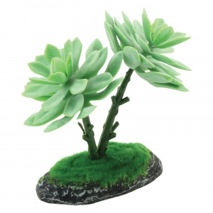 Растение для террариума "Граптоверия", зеленое, 120*68*150мм