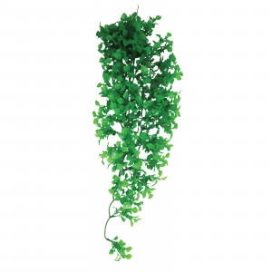 Растение для террариума "Английский плющ", зеленое, 700мм