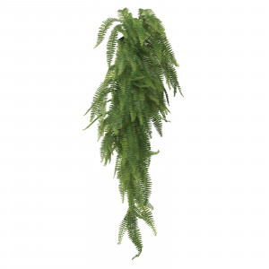 Растение для террариума "Асплениум", зеленое, 700мм