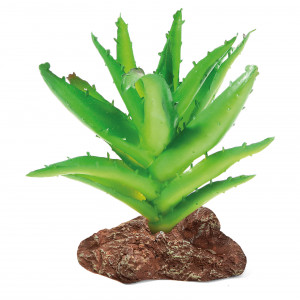 Растение для террариума "Алоэ", зеленое, 95*60*130мм