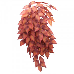 Растение "Сингониум ампельный", красный, 370мм