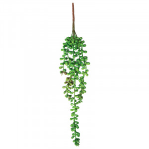 Растение "Крестовник ампельный", зеленый, 80*20*370мм