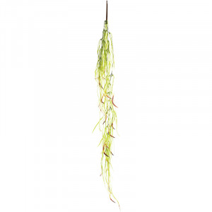 Растение "Фикус иволистный", желто-зеленый, 60*10*520мм